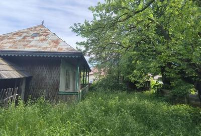 Casă cu 3 camere în Arbore
