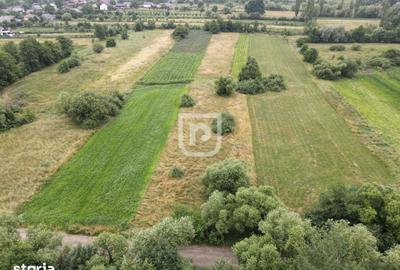 Teren de 3600 mp, în Brusturi