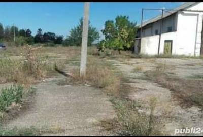 Spațiu comercial, de 8,438 mp, în Cobadin - 5