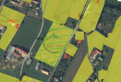 Teren Construcții intravilan de 6179.009765625 mp, în Băcel - 2