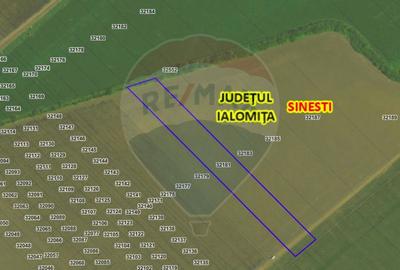 Teren agricol intravilan de 8814 mp, în Sinești - 1