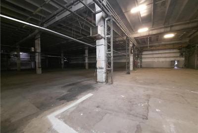 Spațiu industrial, de 5,500 mp, în Est - 6