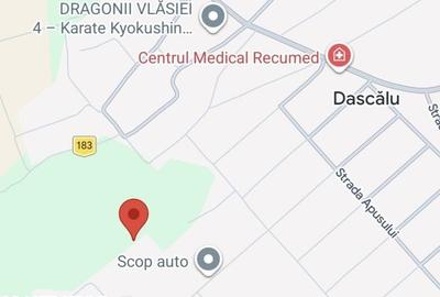 Teren Construcții intravilan de 9800 mp, în Dascălu - 3