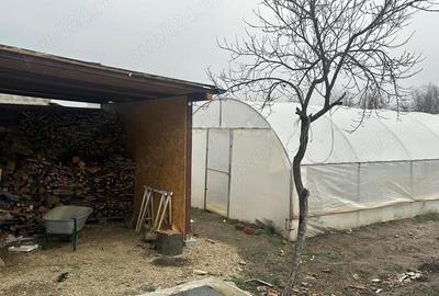 Casă cu 5 camere cu Teren 3885 Mp în Izgar - 16