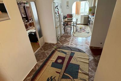 Apartament cu 3 camere decomandat în Lunca Cetățuii - 10