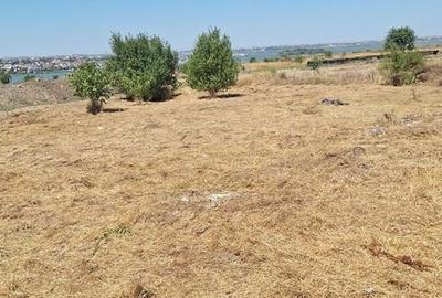 Teren Construcții intravilan de 406 mp, în Palazu Mare - 3