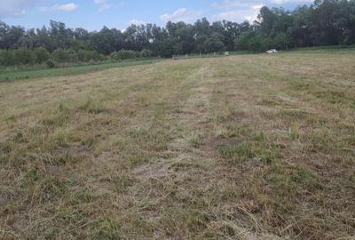 Teren de 2400 mp, în Bârcea Mică - 1