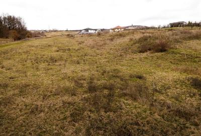 Teren intravilan de 3444 mp, în Betfia - 9
