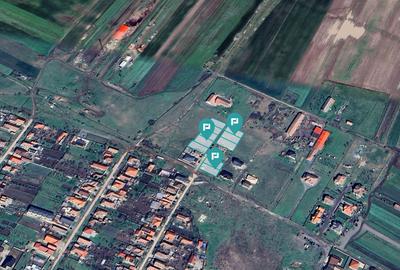 Teren Construcții intravilan de 5000 mp, în Livada - 2