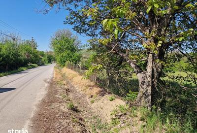 Teren de 850 mp, în Călinești - 6