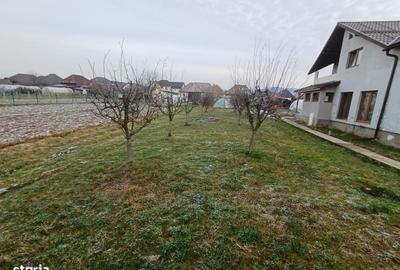 Casă cu 3 camere în Mocira