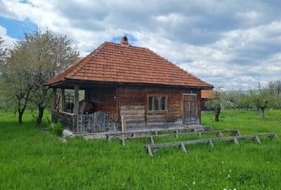 Casă cu 7 camere cu Teren 20855 Mp în Central - 2
