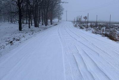 Teren de 1000 mp, în Bucovăț - 5