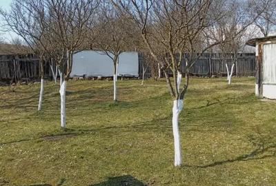 Casă cu 2 camere în Țichindeal - 8