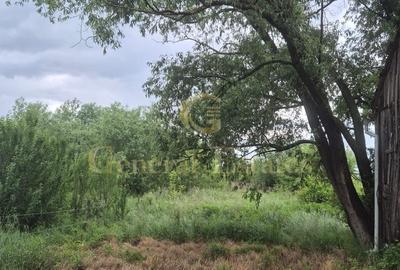 Casă cu 4 camere cu Teren 2290 Mp în Stupini - 7