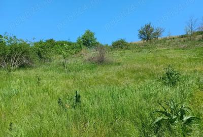 Teren de 1900 mp, în Cuza Vodă (Popricani) - 3