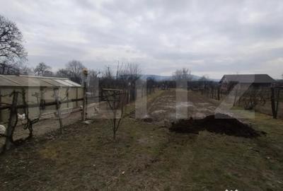 Casă cu 4 camere cu Teren 3000 Mp în Livezile - 1