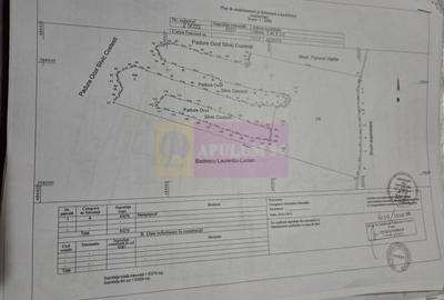 Teren agricol extravilan de 94000 mp, în Albota - 6