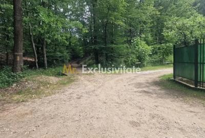 Teren de 12421 mp, în Central