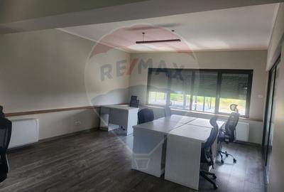 Birou, de 40 mp, în Nufărul - 12