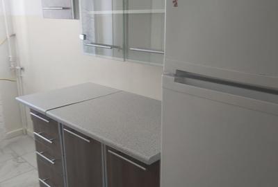 Apartament cu 2 camere decomandat în Găvana - 3