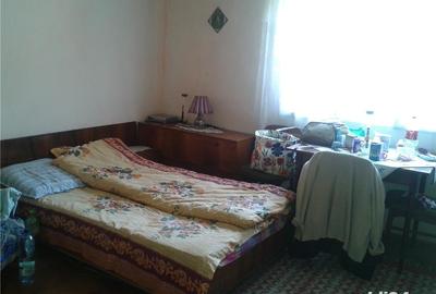 Casă cu 3 camere cu Teren 10000 Mp în Gherteniș - 17