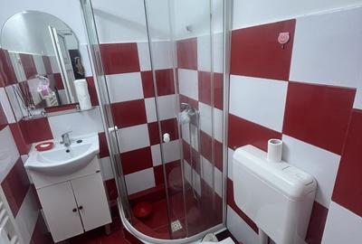 Garsonieră în Alexandru cel Bun - 2