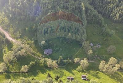Teren agricol extravilan de 38704 mp, în Șirnea - 12