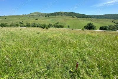 Teren de 1100 mp, în Sălicea - 3