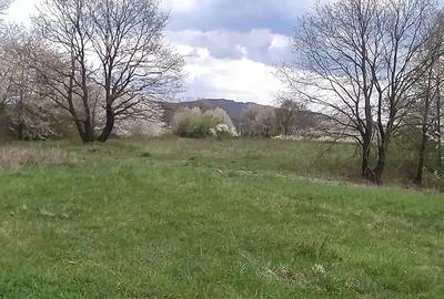 Teren de 5000 mp, în Central