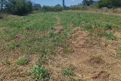 Teren de 1000 mp, în Copăceni - 2