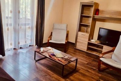 Apartament cu 2 camere semidecomandat, mobilat în Basarabia - 1