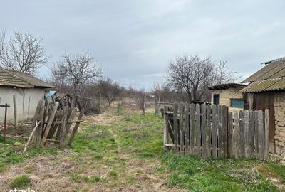 Casă cu 3 camere în Năsturelu