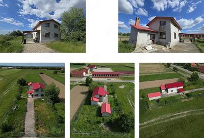 Casă cu Teren 1450 Mp în Ohaba-Forgaci - 4
