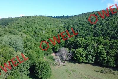 Teren extravilan de 98200 mp, în Moacșa