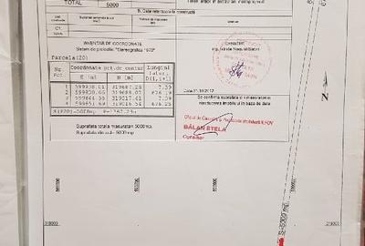 Teren agricol extravilan de 33100 mp, în Glina - 13