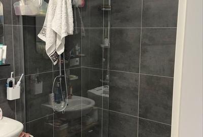 Apartament cu 2 camere în Lotrioara - 3