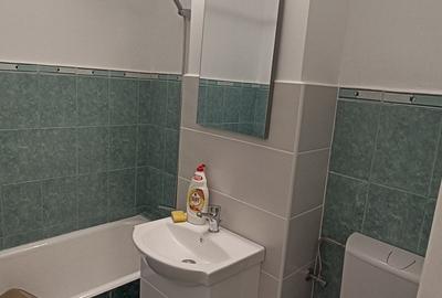 Garsonieră decomandată în Bârzești - 16