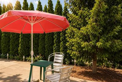 Duplex cu 3 camere cu Canalizare în Drumul Poienii - 11