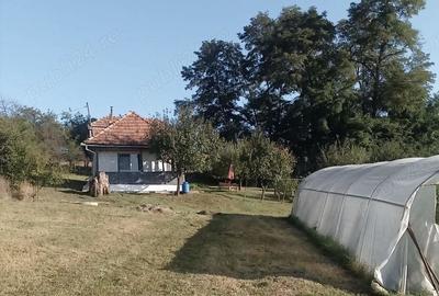 Casă cu 3 camere cu Teren 35000 Mp în Central - 1