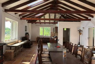 Casă cu 6 camere cu Teren 16351 Mp în Viile Satu Mare - 4