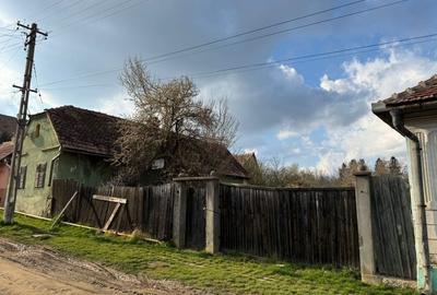 Casă cu 2 camere în Alțina - 4