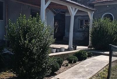 Casă cu Teren 4650 Mp în Vârvor