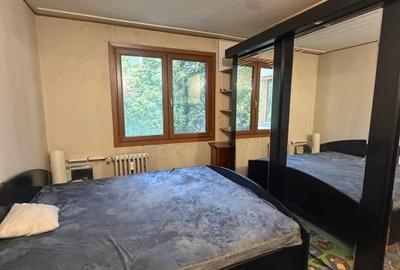 Apartament cu 2 camere decomandat în Sălăjan - 11