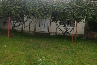 Casă cu 2 camere cu Teren 2700 Mp în Cașin - 2