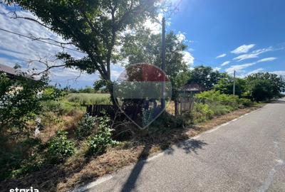 Teren de 2050 mp, în Călienii Noi