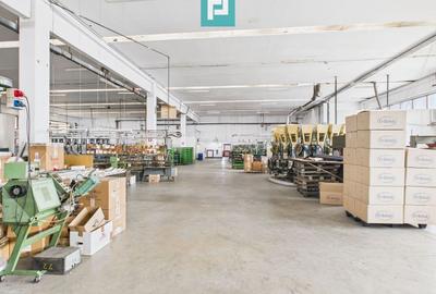 Spațiu industrial, de 3,200 mp, în Nord-Est - 16