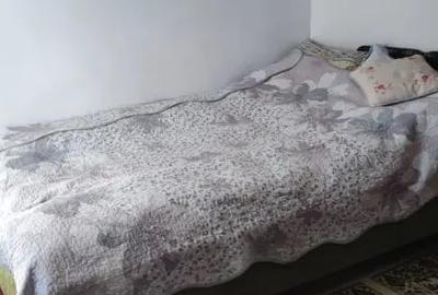 Casă cu 2 camere cu Teren 2000 Mp în David - 3