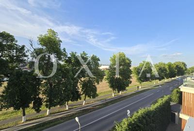 Apartament cu 2 camere semidecomandat, mobilat în Chișoda - 4