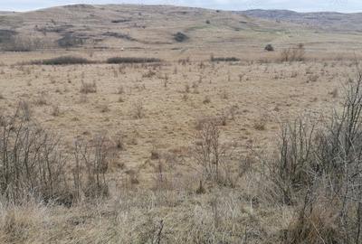 Teren de 12600 mp, în Feiurdeni - 3
